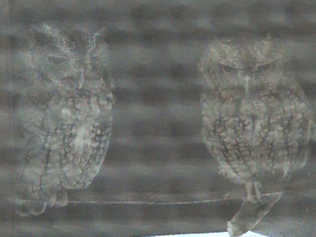 DVC00017.jpg