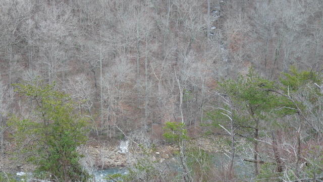 P1030599.JPG