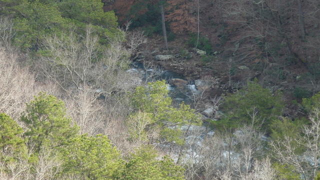 P1030680.JPG
