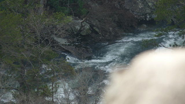 P1030730.JPG