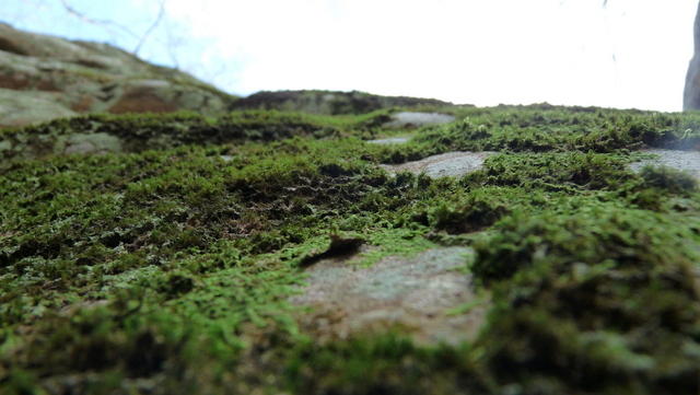 P1030747.JPG