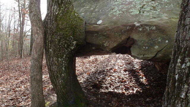 P1030757.JPG