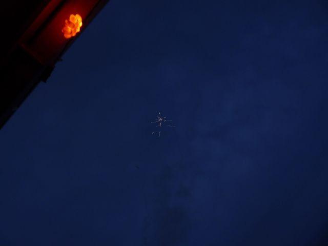 fireworks_07042009_022.jpg