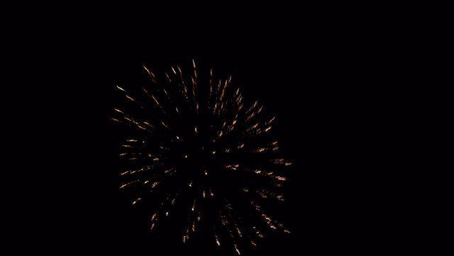 fireworks_07042009_052.jpg