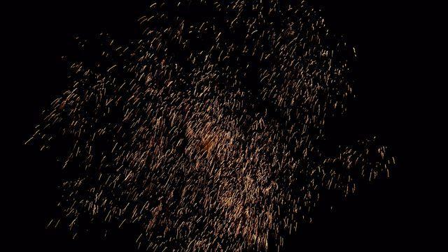 fireworks_07042009_055.jpg