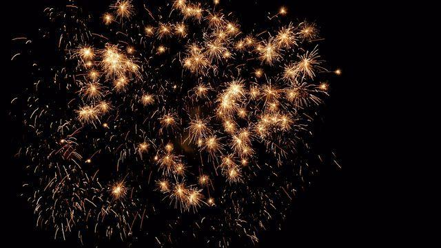 fireworks_07042009_058.jpg