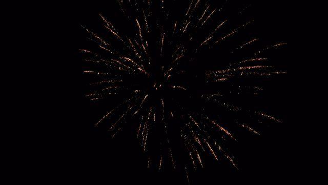 fireworks_07042009_068.jpg