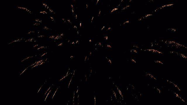 fireworks_07042009_069.jpg