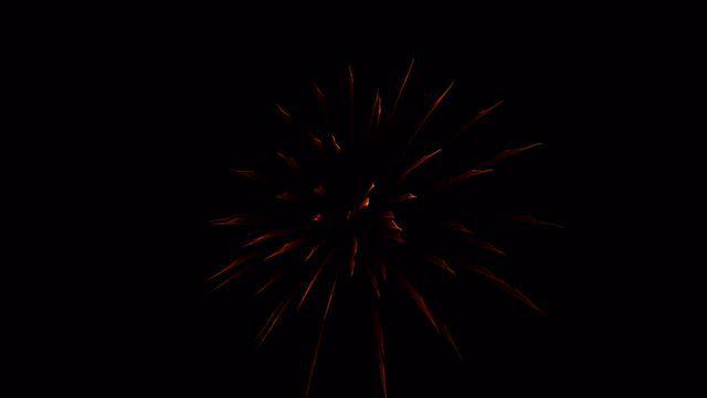 fireworks_07042009_072.jpg
