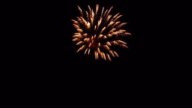 fireworks_07042009_074.jpg