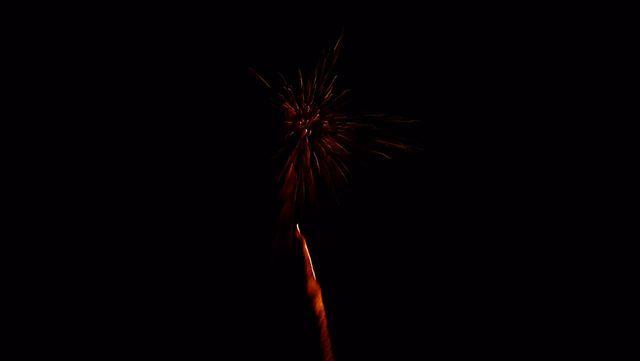 fireworks_07042009_078.jpg