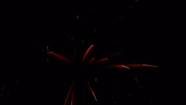 fireworks_07042009_080.jpg