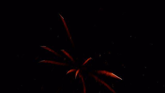 fireworks_07042009_083.jpg