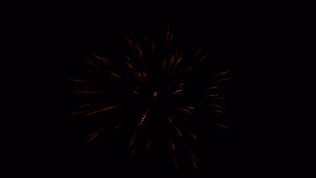 fireworks_07042009_086.jpg