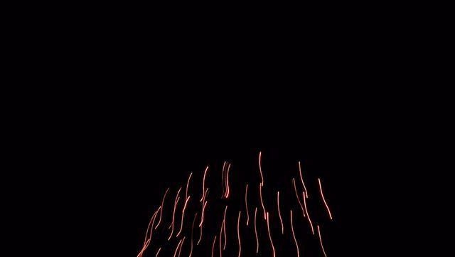 fireworks_07042009_088.jpg