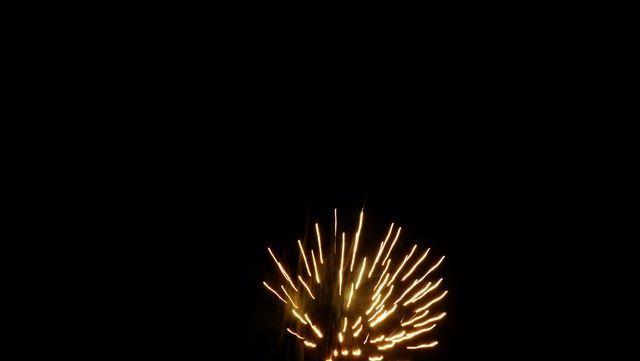 fireworks_07042009_089.jpg