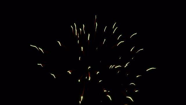 fireworks_07042009_090.jpg