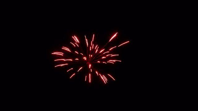 fireworks_07042009_091.jpg
