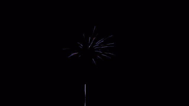 fireworks_07042009_096.jpg