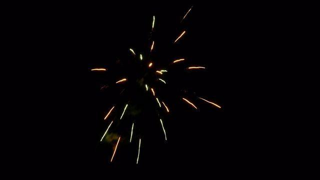 fireworks_07042009_097.jpg