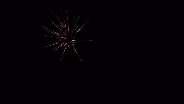 fireworks_07042009_099.jpg