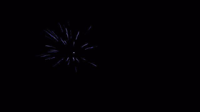 fireworks_07042009_101.jpg