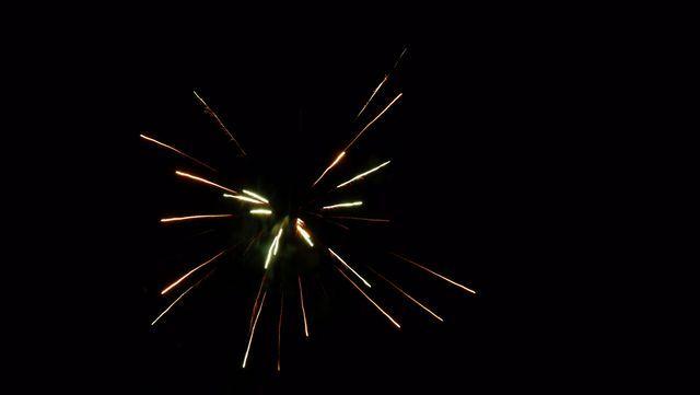 fireworks_07042009_108.jpg