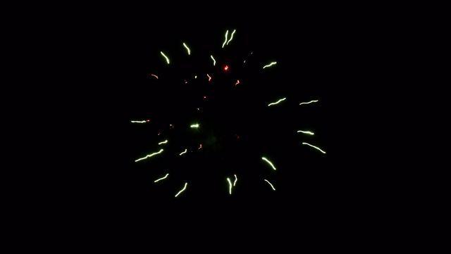 fireworks_07042009_113.jpg