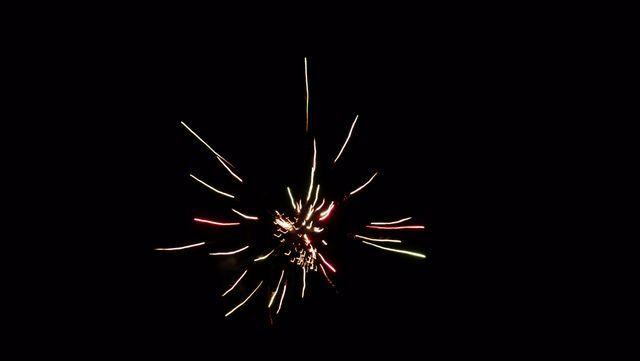 fireworks_07042009_114.jpg
