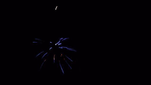 fireworks_07042009_123.jpg