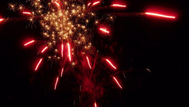 fireworks_07042009_125.jpg