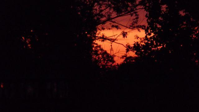P1000364.jpg