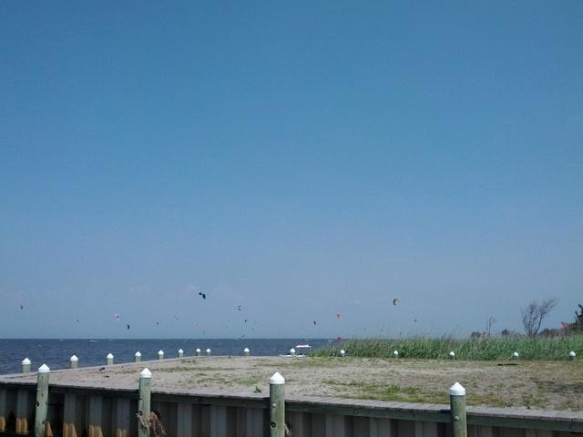 IMG_20120502_110016.jpg