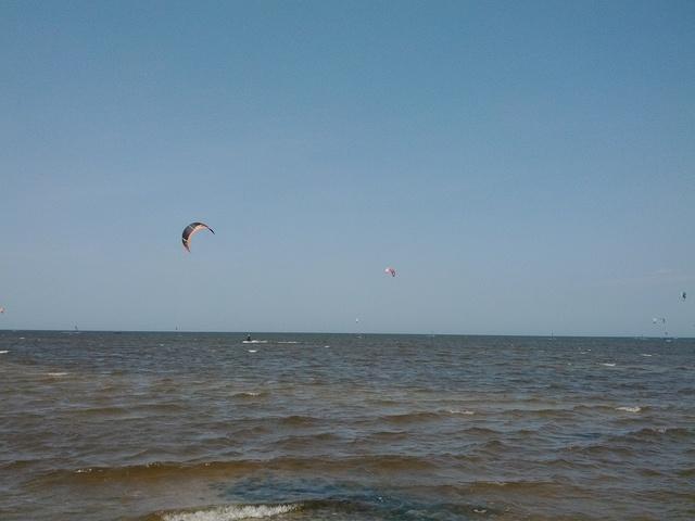 IMG_20120502_110019.jpg