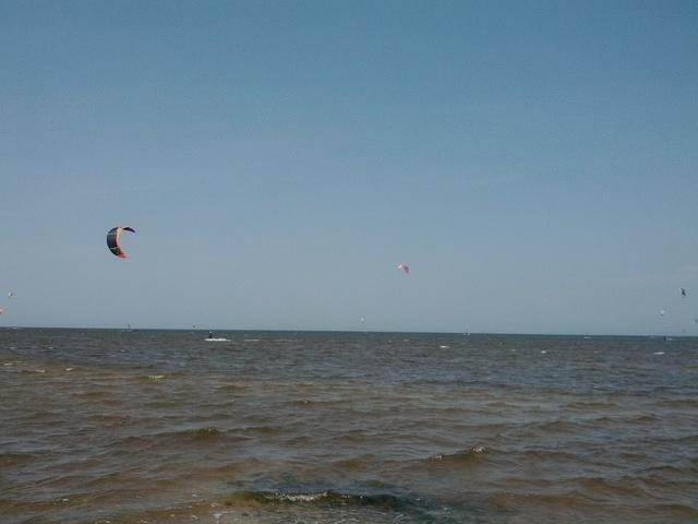 IMG_20120502_110022.jpg