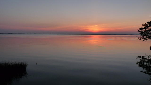 P1030992.JPG