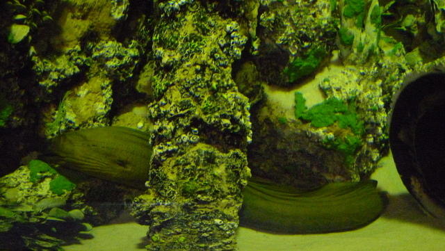P1040217.JPG