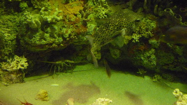 P1040242.JPG