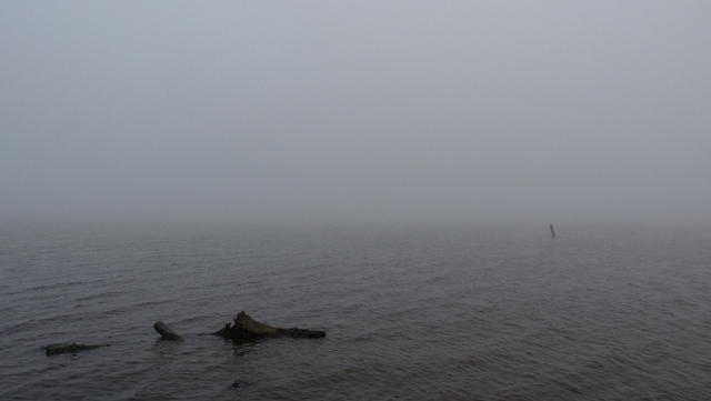 P1040453.JPG