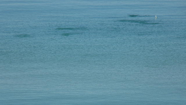 P1030107.JPG