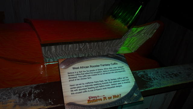 P1030250.JPG