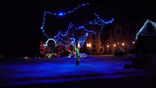 christmas_lights002.jpg