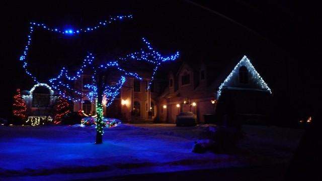 christmas_lights004.jpg