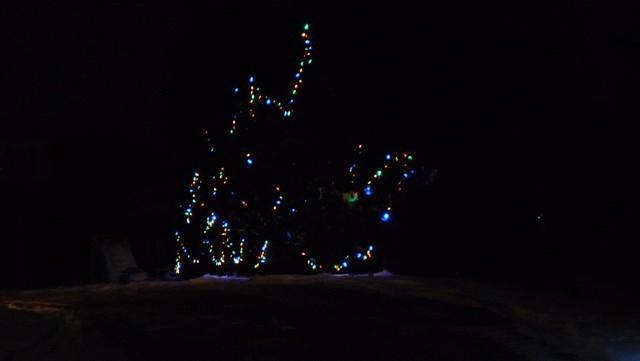christmas_lights017.jpg