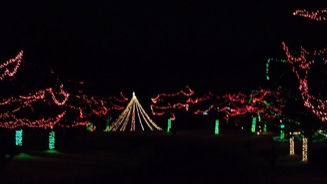 christmas_lights019.jpg