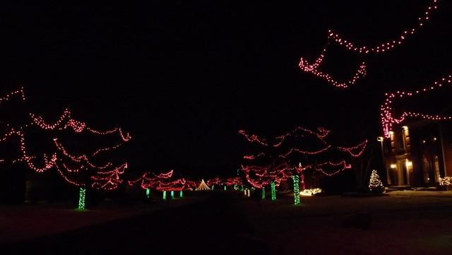 christmas_lights020.jpg