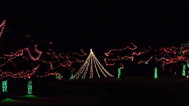 christmas_lights021.jpg