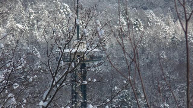 pigeon_forge_weather015.jpg