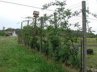 DSCN6685.JPG