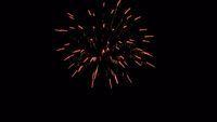 fireworks_07042009_049.jpg